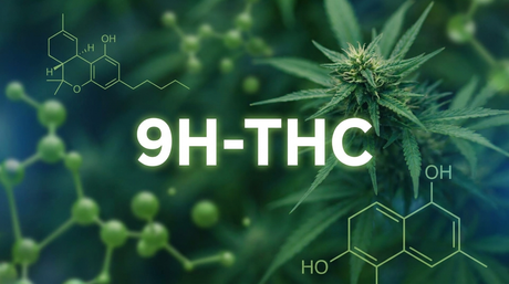 9h-THC erklärt Wirkung, Legalität & Erfahrungen 2026