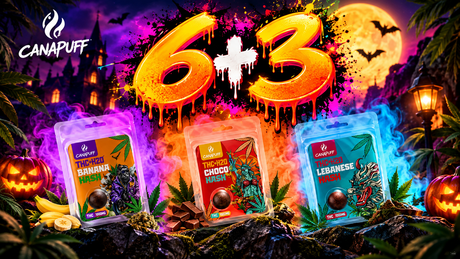 Canapuff Hash 6+3 Bundle